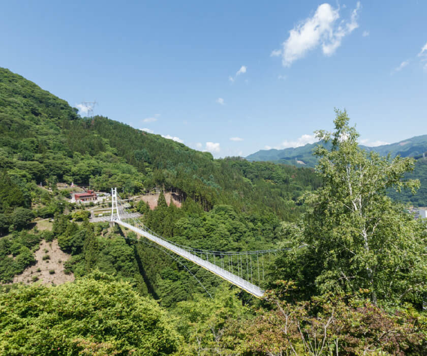 上野スカイブリッジ